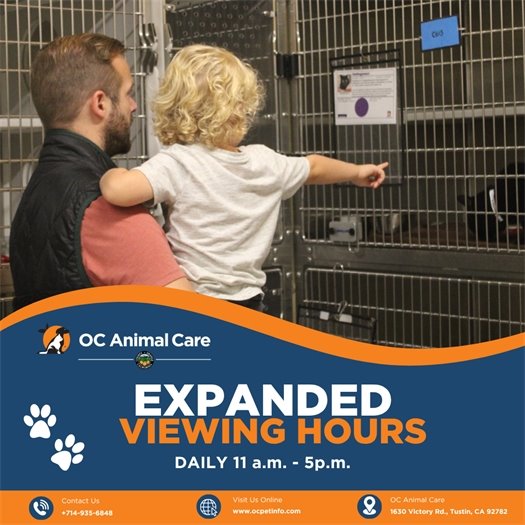 OC Animal Care Expanded Viewing Hours Ad