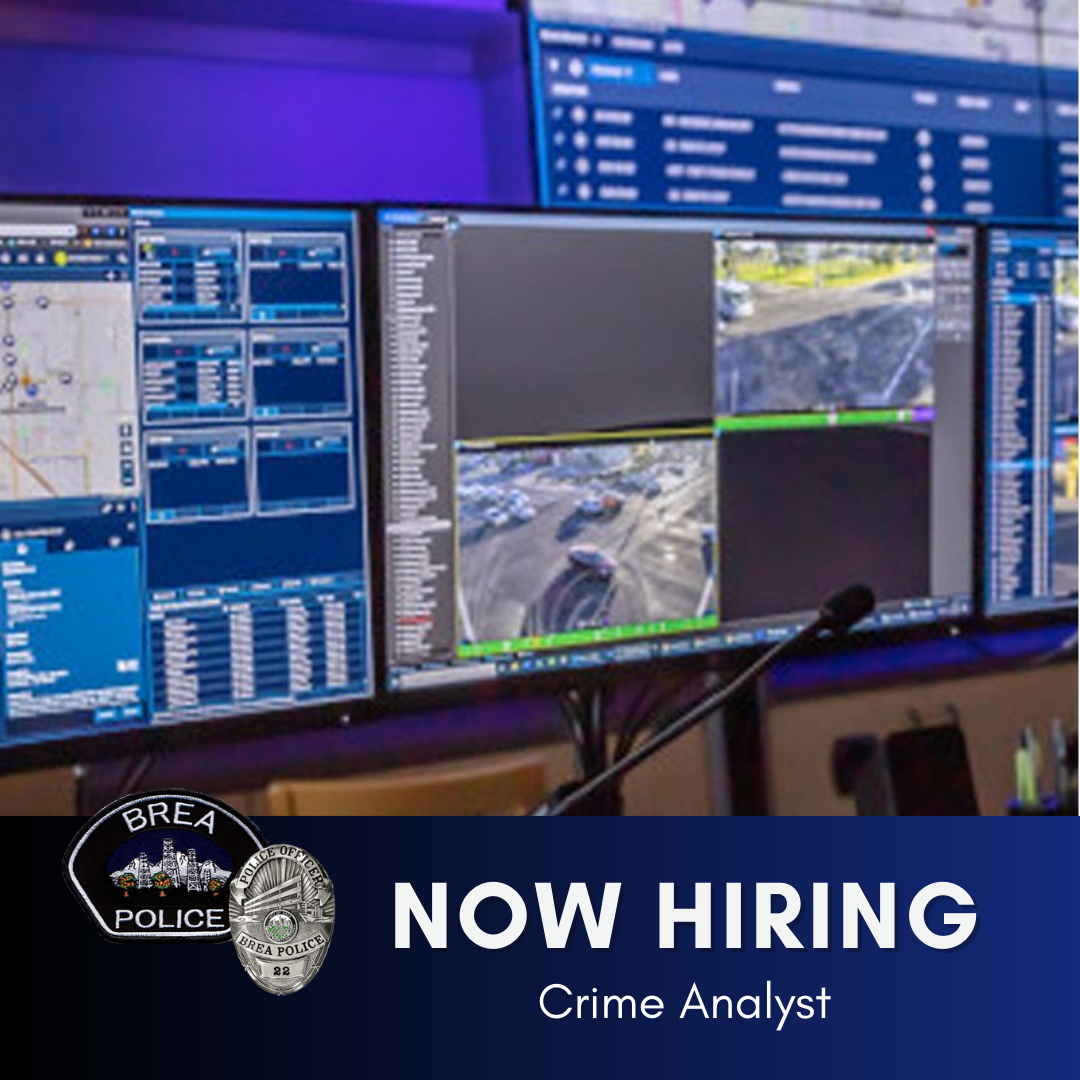 Now Hiring Crime Analyst